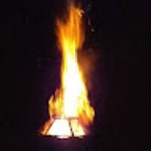 Meet your Posher, Ronald